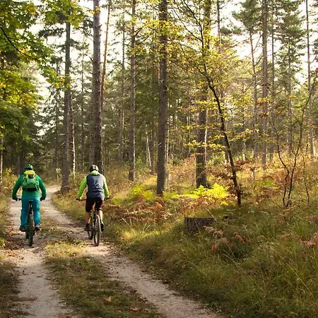 Gæstehus Gaestehaus Trink B&B Drobollach am Faakersee