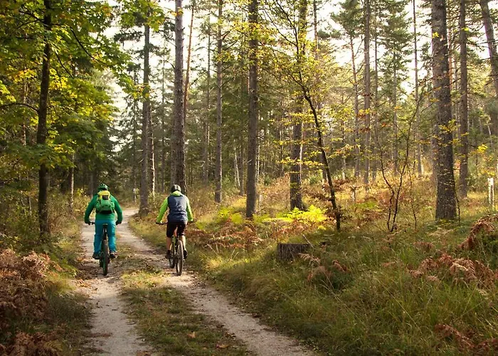 בית הארחה Gaestehaus Trink דרובולאך אם פאקרסי