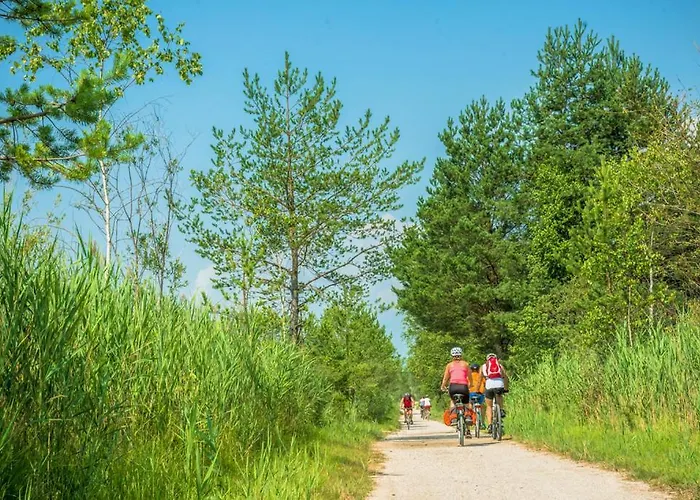 Gaestehaus Trink דרובולאך אם פאקרסי