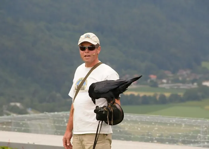 Gaestehaus Trink 3* דרובולאך אם פאקרסי