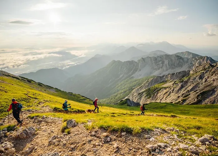 בית הארחה Gaestehaus Trink 3*