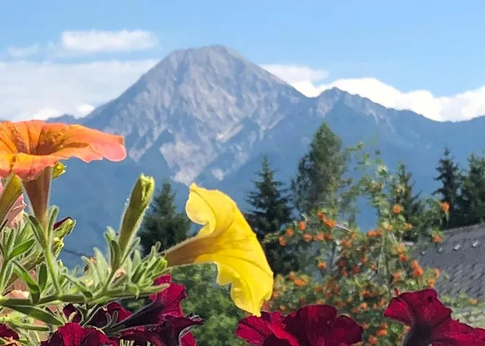 בית הארחה Gaestehaus Trink דרובולאך אם פאקרסי